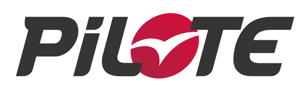 expert du remplacement de pare-brise Pilote